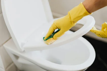 Professional window cleaning service