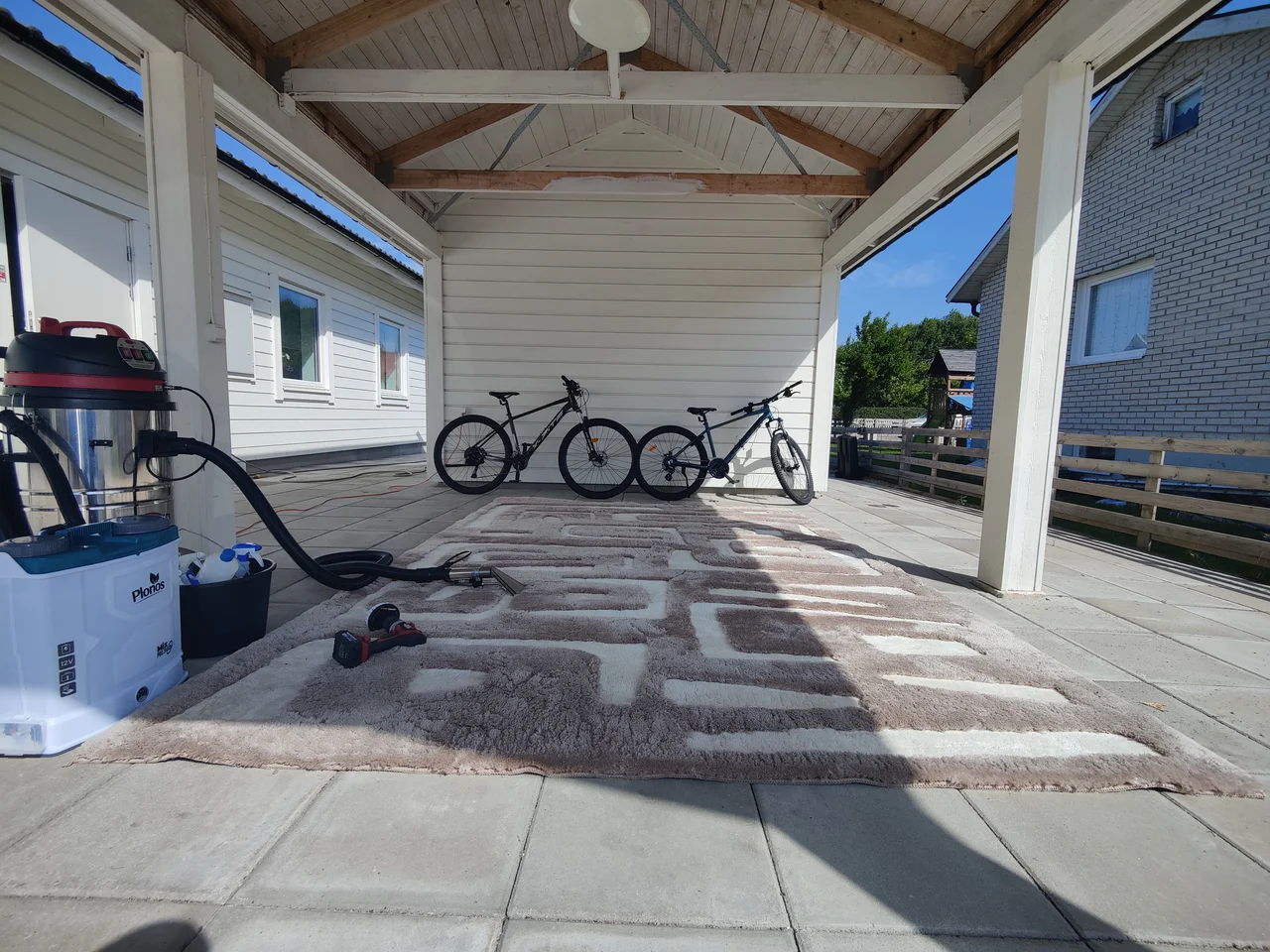 Professional carpet cleaning service