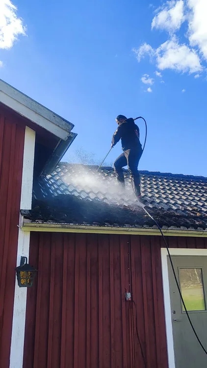 Professional roof cleaning service
