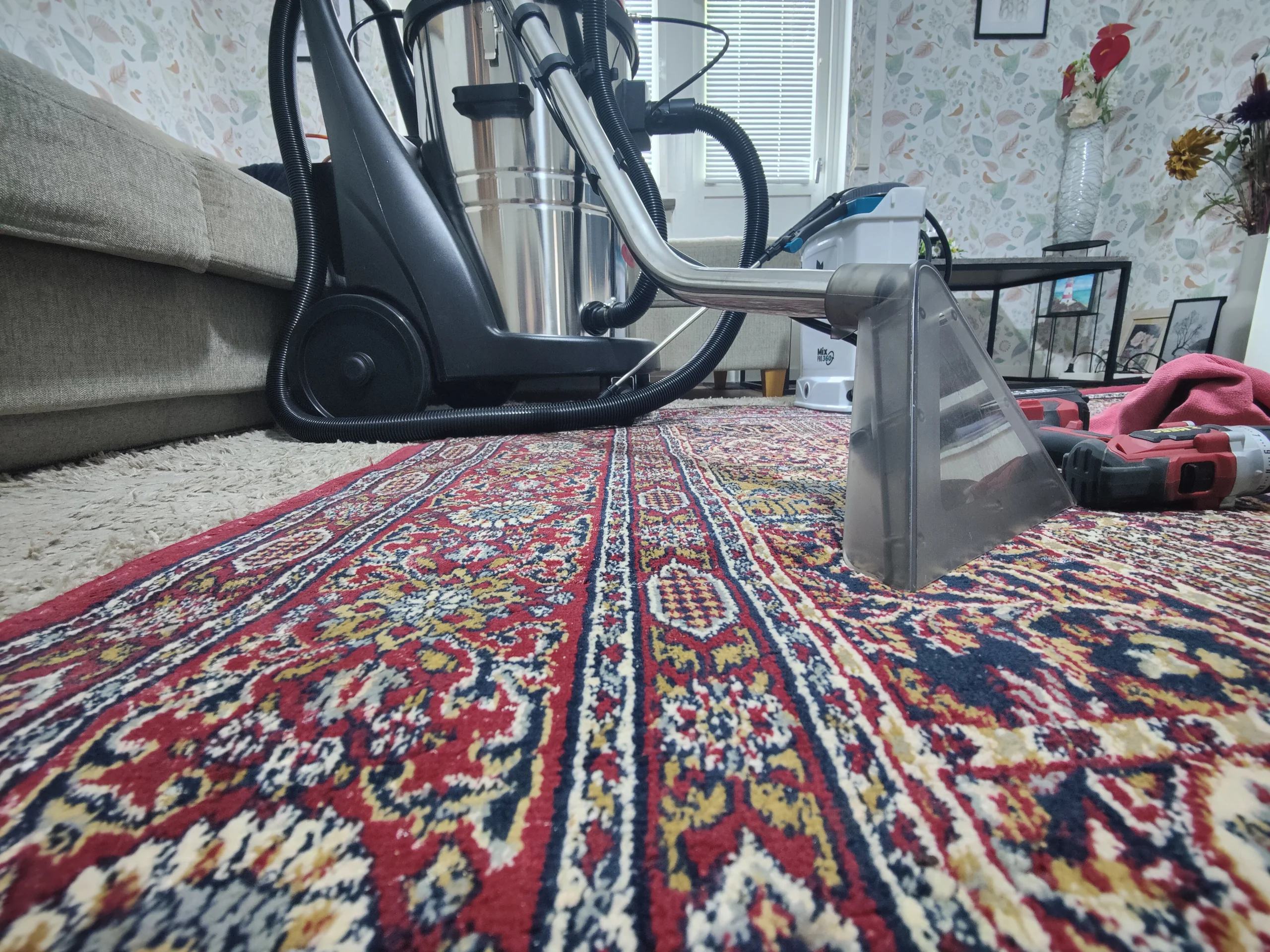 Professional carpet cleaning service