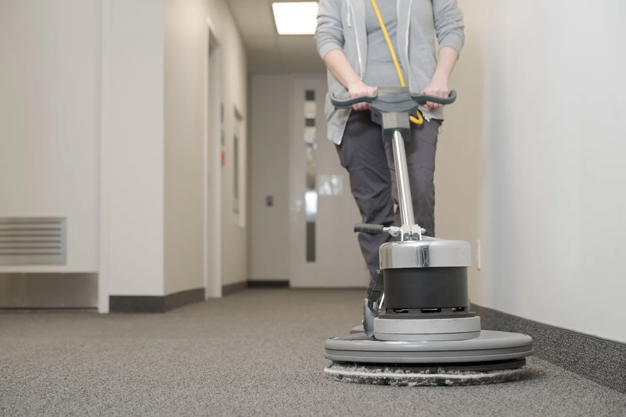 Professional carpet cleaning service