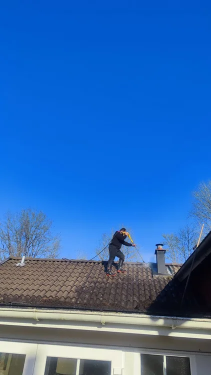 Professional roof cleaning service