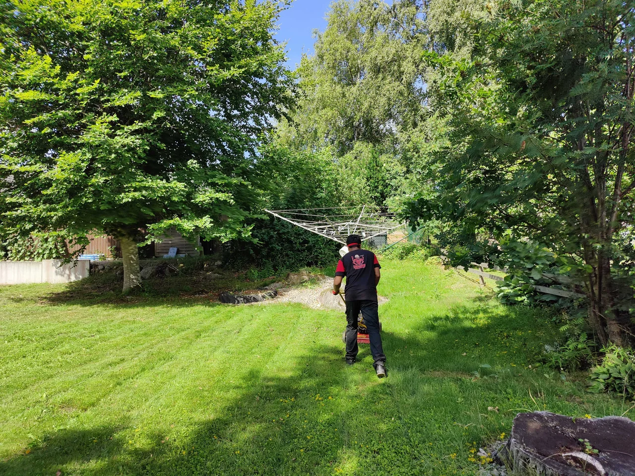 Professional garden maintenance service