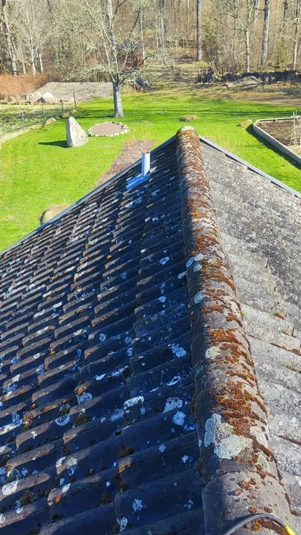 Professional roof cleaning service