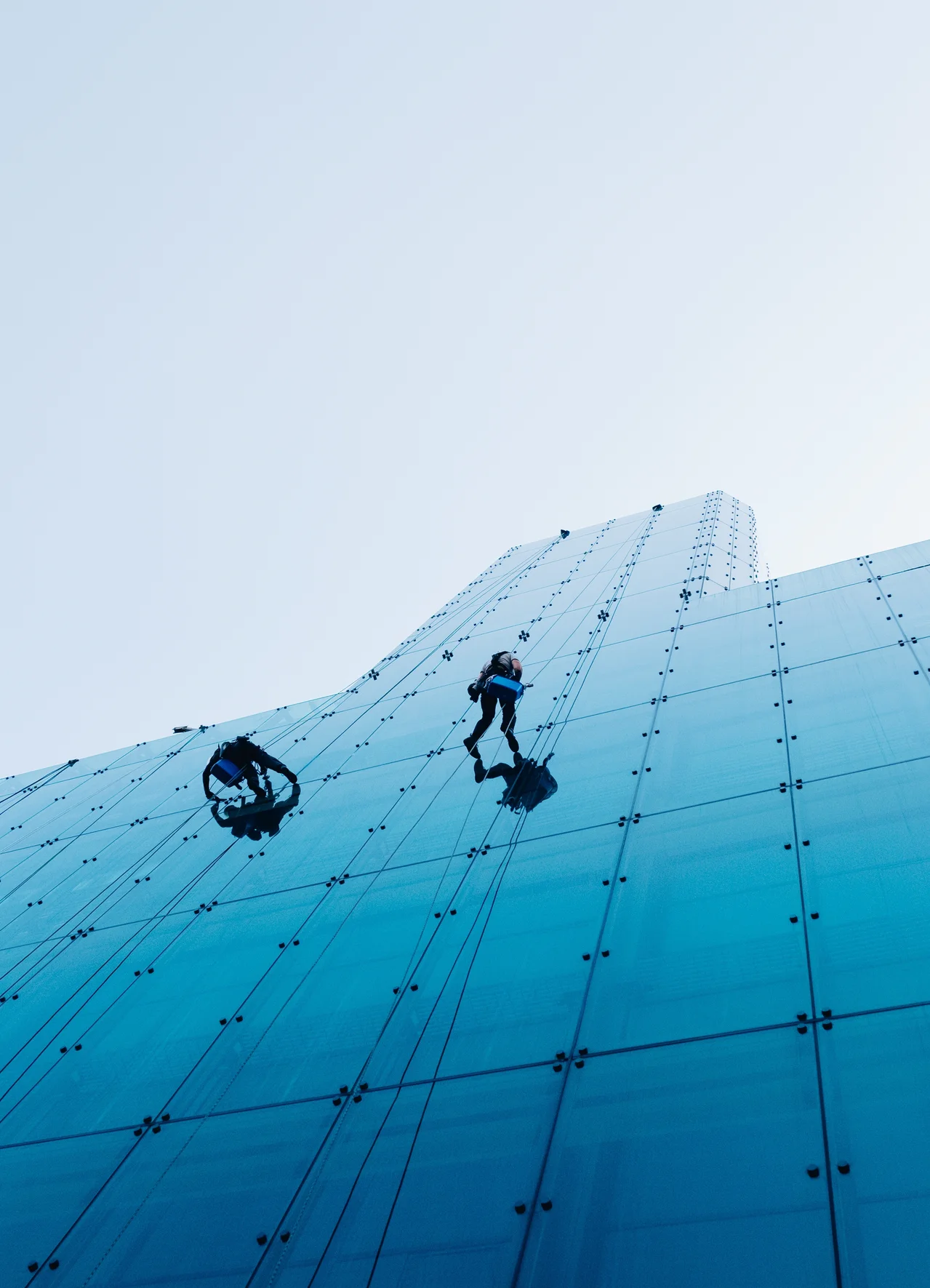 Professional window cleaning service