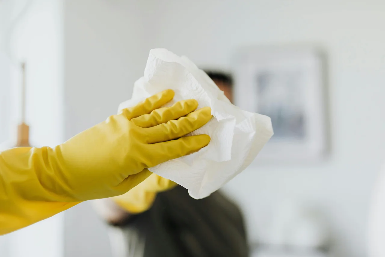 Professional cleaning services
