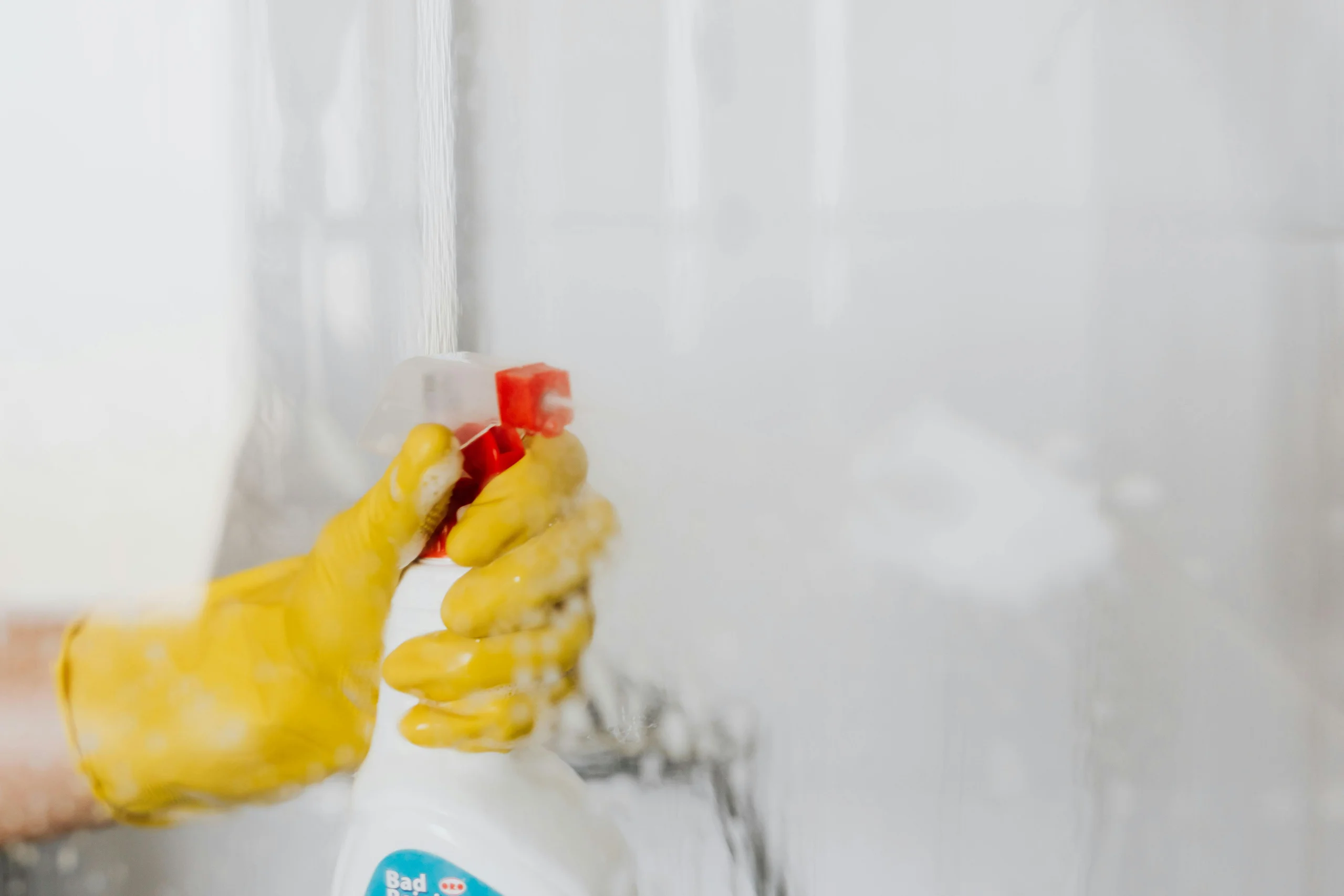 Professional cleaning services