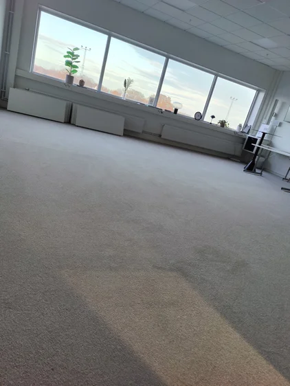 Clean office carpet