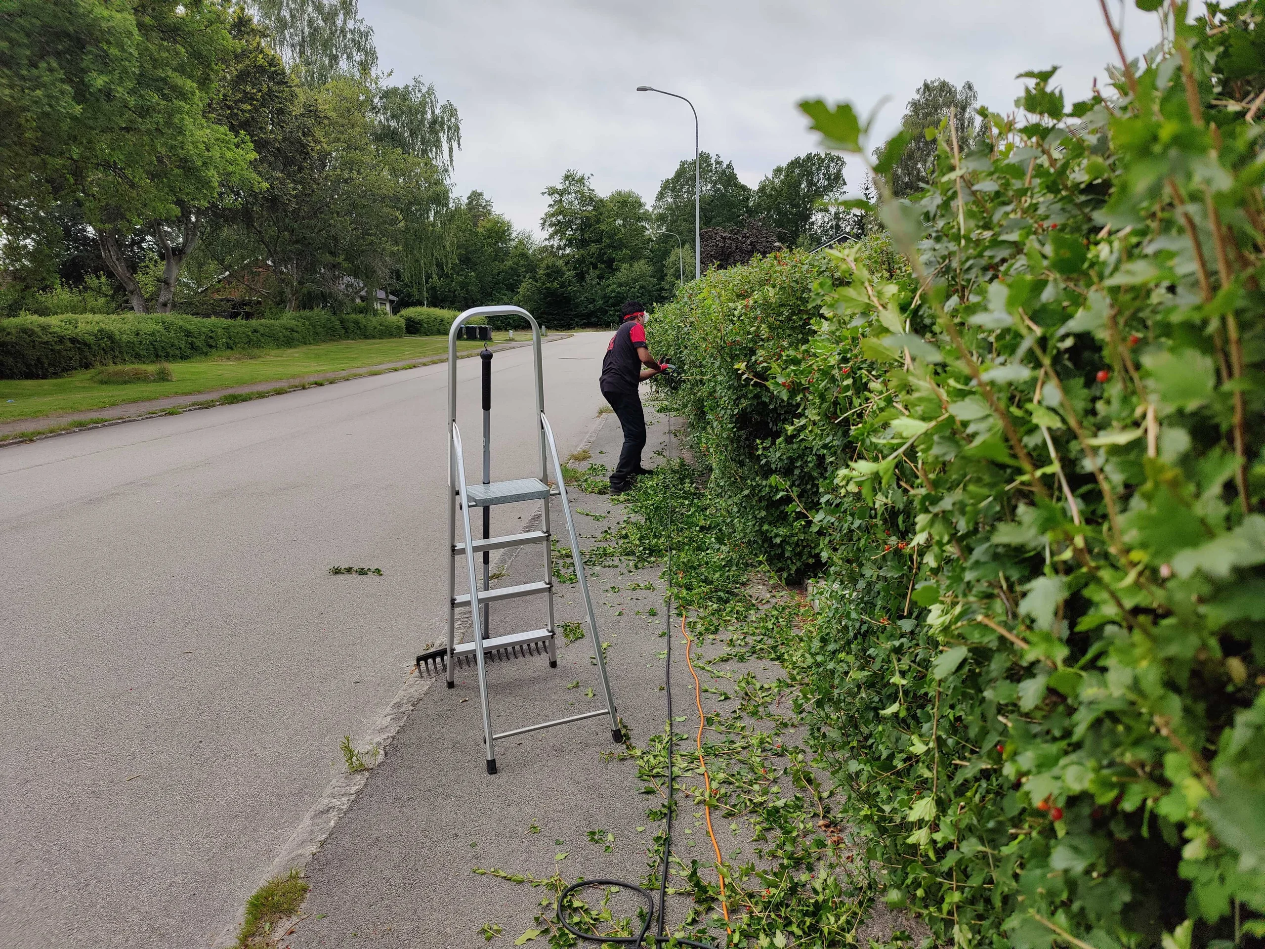 Professional garden maintenance service