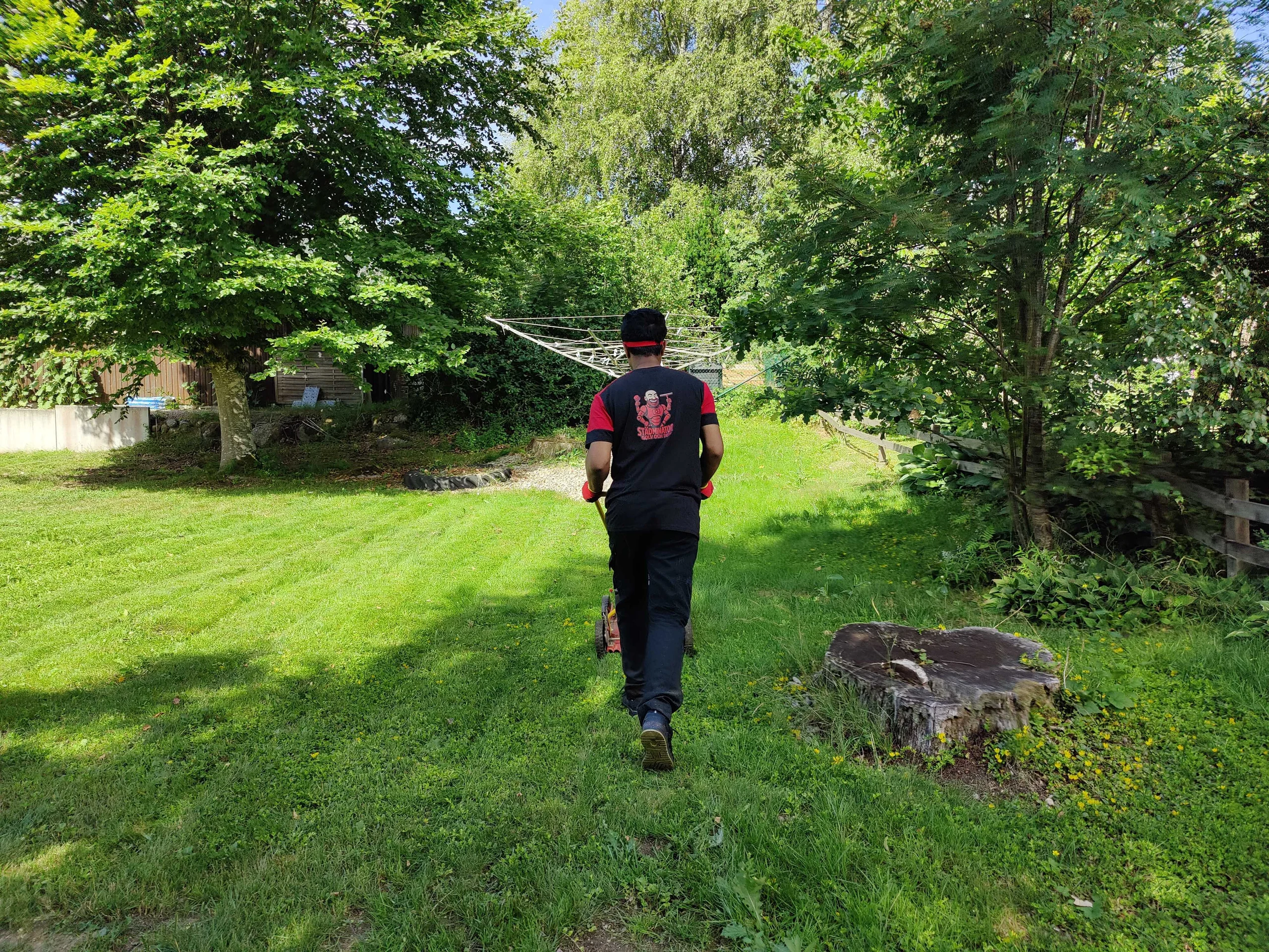 Professional garden maintenance service