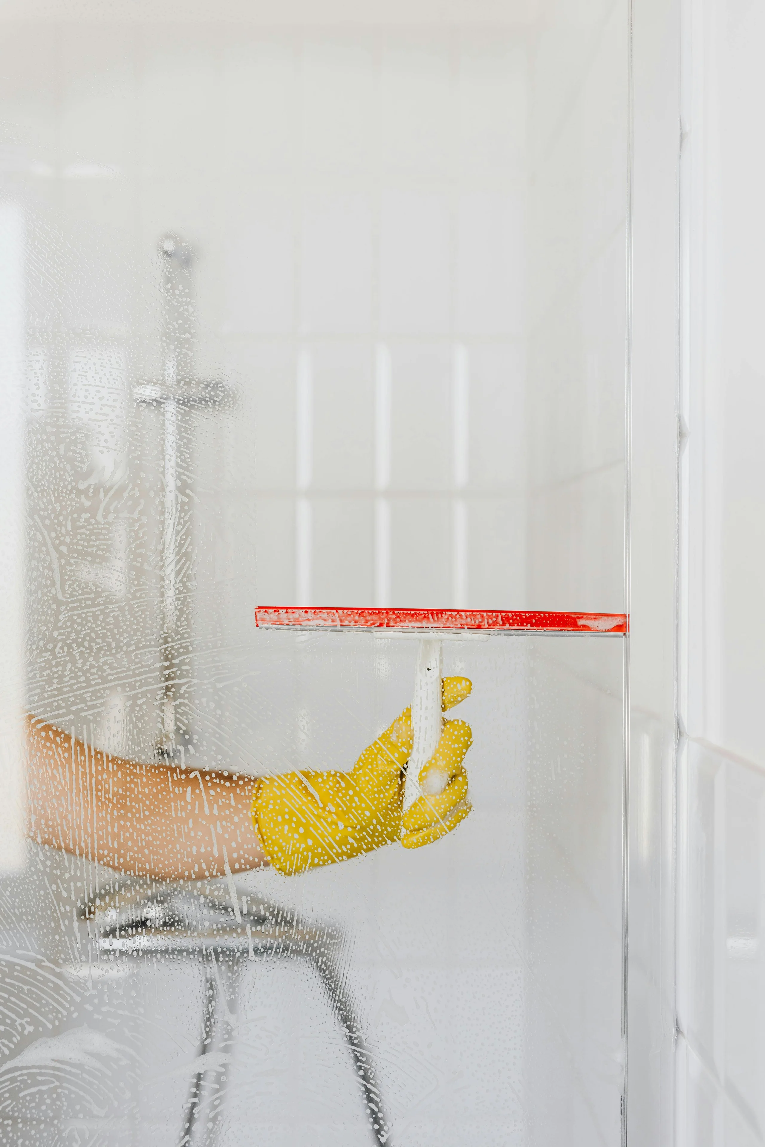 Professional cleaning services
