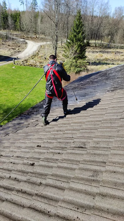 Professional roof cleaning service