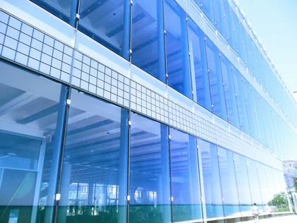 Professional window cleaning service