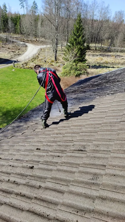 Professional roof cleaning service